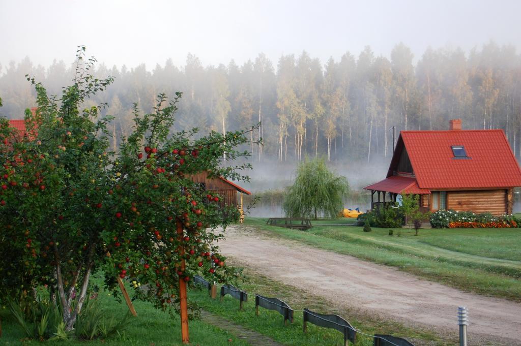 Отель Viesu Nams Rukisi Rugaji Экстерьер фото